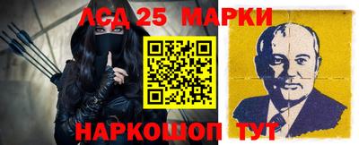 дмт Гай