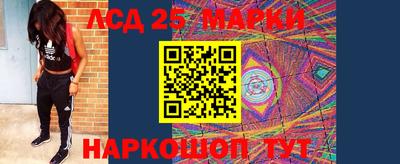 дмт Гай