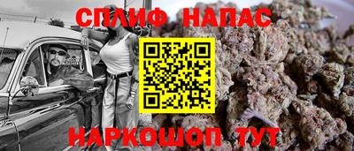 мдпв Гатчина