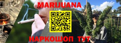 мдпв Гатчина
