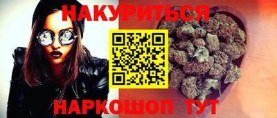 дмт Гай