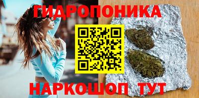 дмт Гай