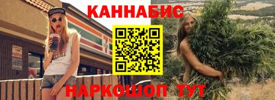дмт Гай