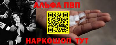 дмт Гай