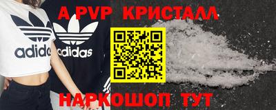 дмт Гай